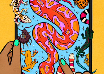 Reptiles and amphibians also known as herps seemingly coming out of an iPad.