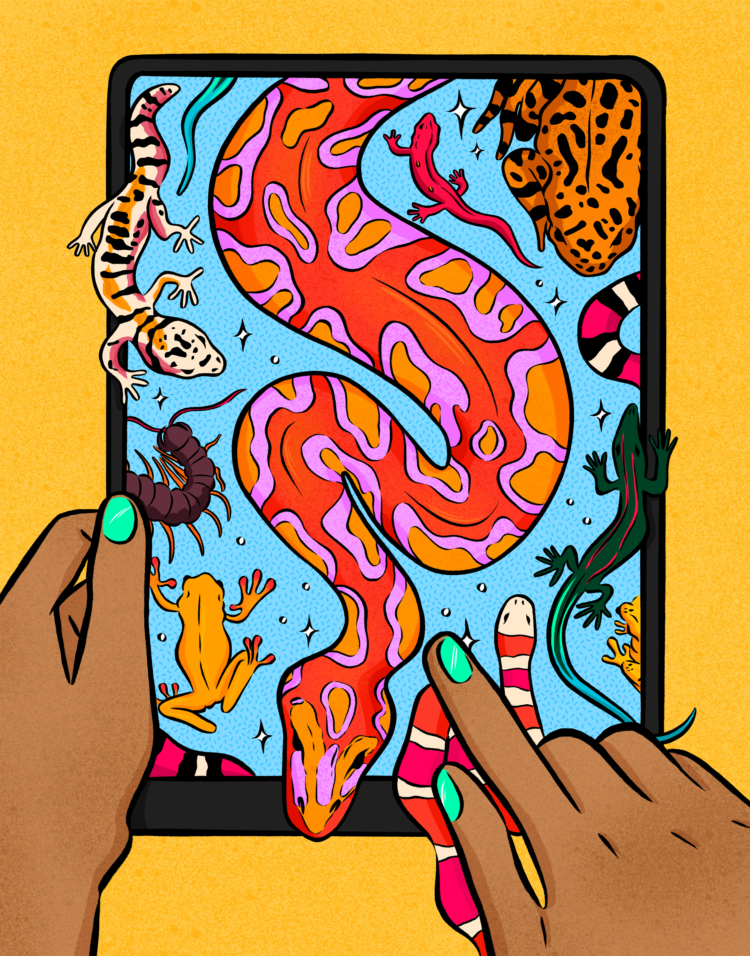 Reptiles and amphibians also known as herps seemingly coming out of an iPad.
