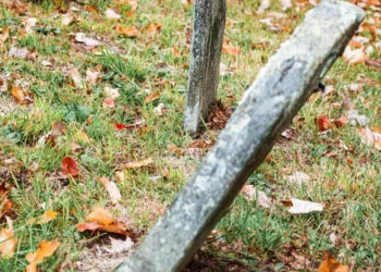 The Unclaimed Dead