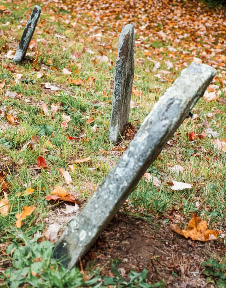 The Unclaimed Dead